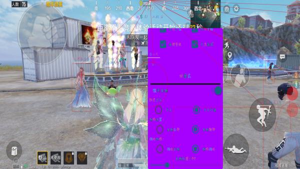 和平精英「雪花」直装辅助